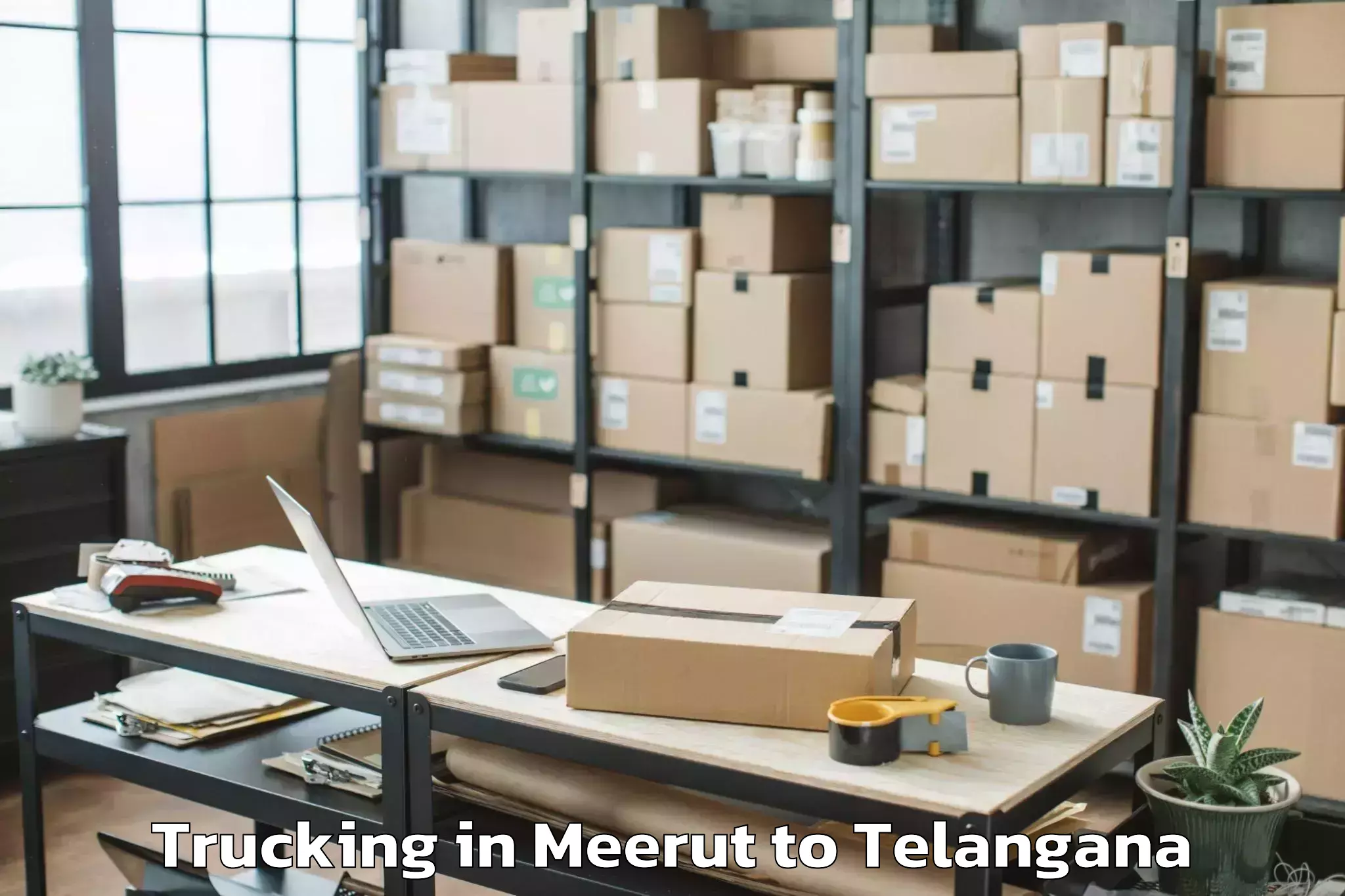 Top Meerut to Lingalaghanpur Trucking Available